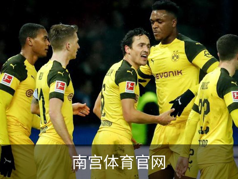 南宫体育官网简介